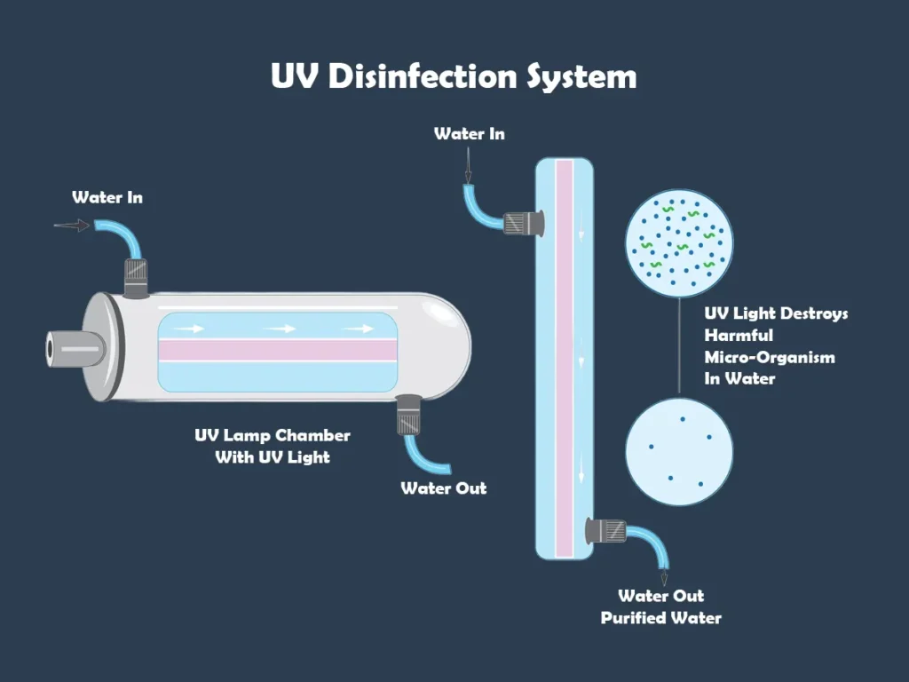 UV disinfection system installed in a residential water filtration setup, featuring a stainless-steel chamber and UV lamp designed to neutralize bacteria and viruses.